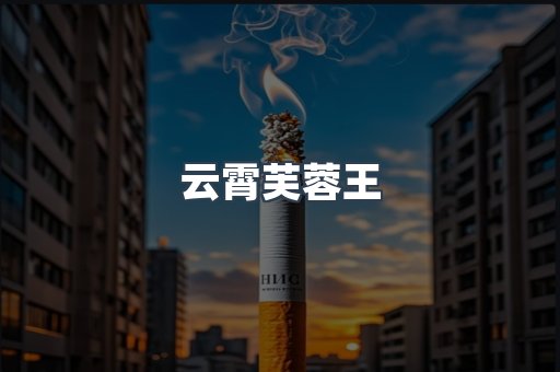云霄芙蓉王